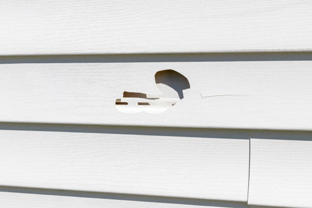 Best Insulated Siding Installation  in Haysville, KS