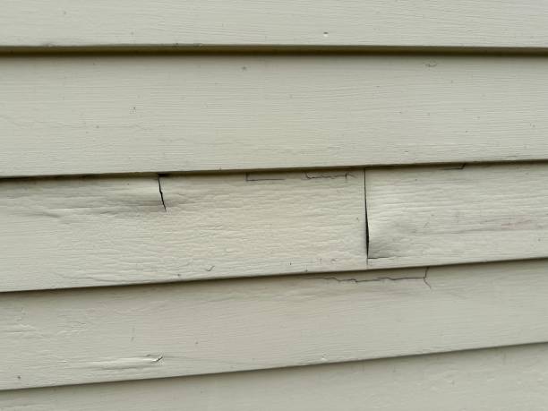 Best Vinyl Siding Installation  in Haysville, KS